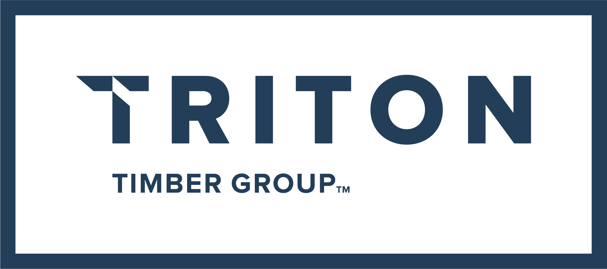 Triton logo